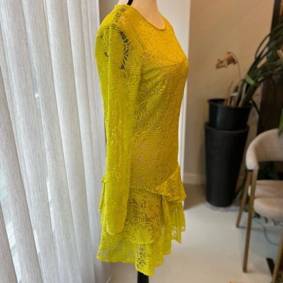 BCBGMAXAZRIA Embroidery Flower Lace Dress - Picture 3 of 12